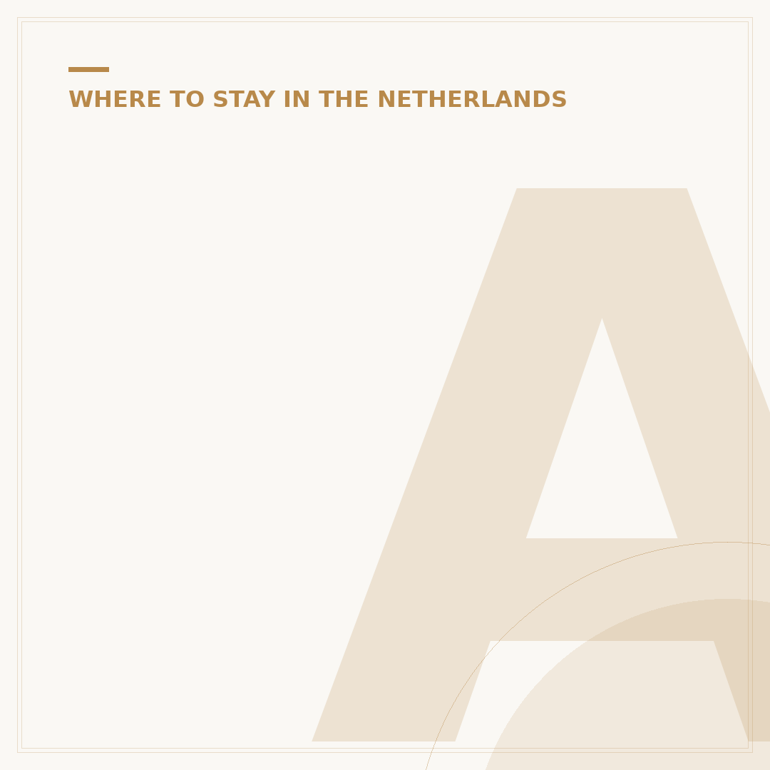 Amsterdam Party Districts: Where to Stay for Nightlife