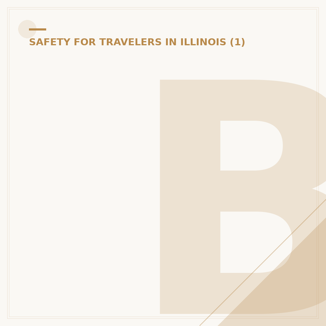 Brighton Park Chicago Safety: What to Know