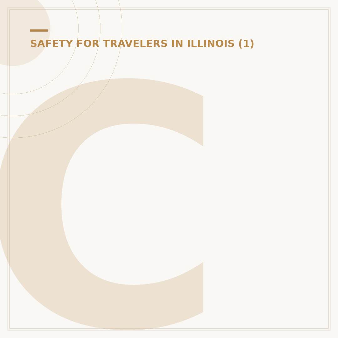 Chicago Lawn Safety: Is It a Safe Neighborhood?