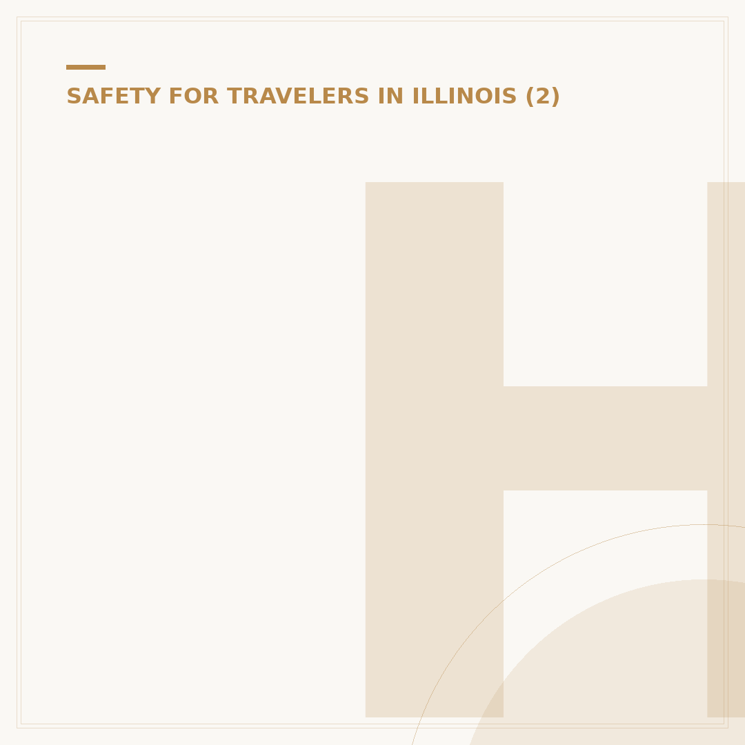 Halsted Street Chicago Safety: What to Know