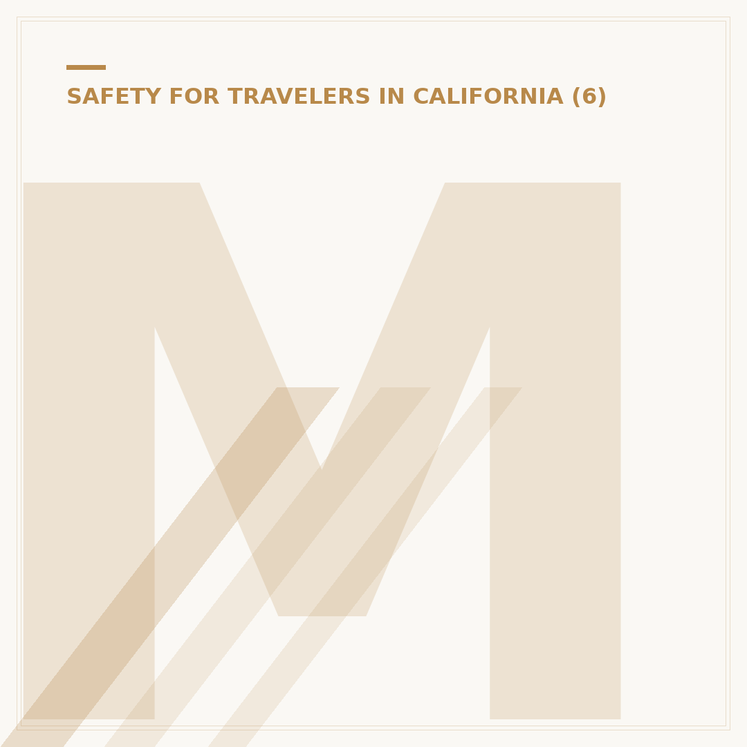 Marina District San Francisco Safety: What You Need to Know