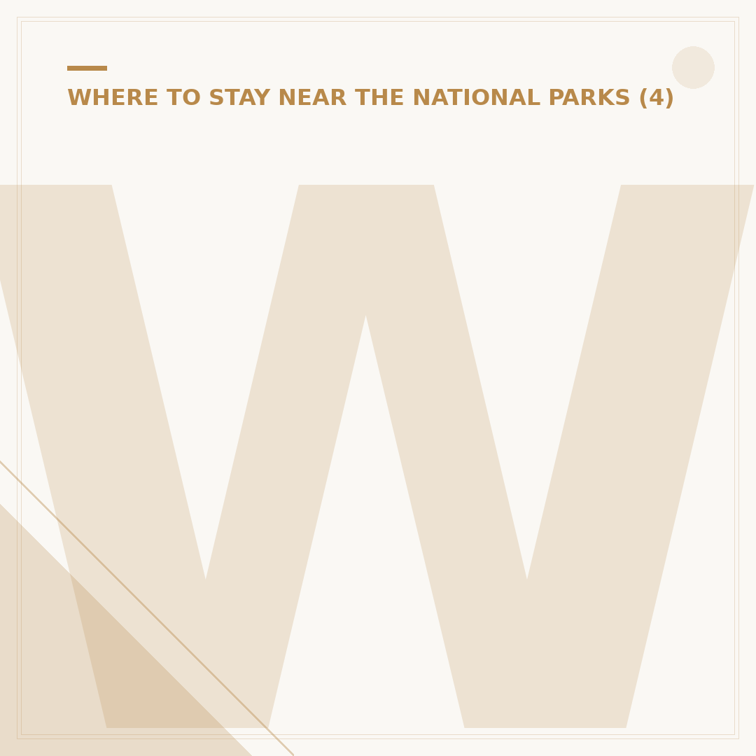 Where to Stay Rainier National Park: Lodging Options