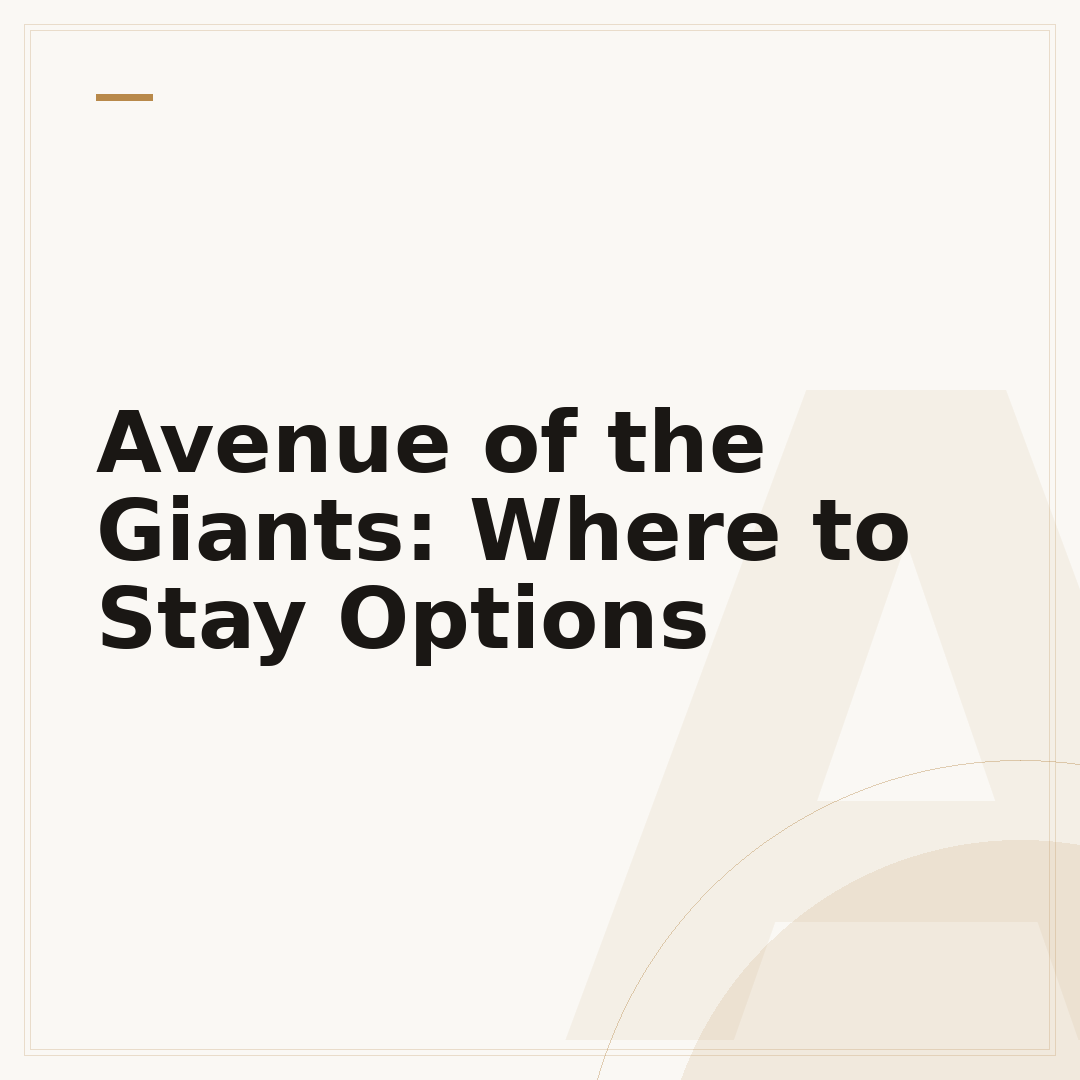 Avenue of the Giants: Where to Stay Options