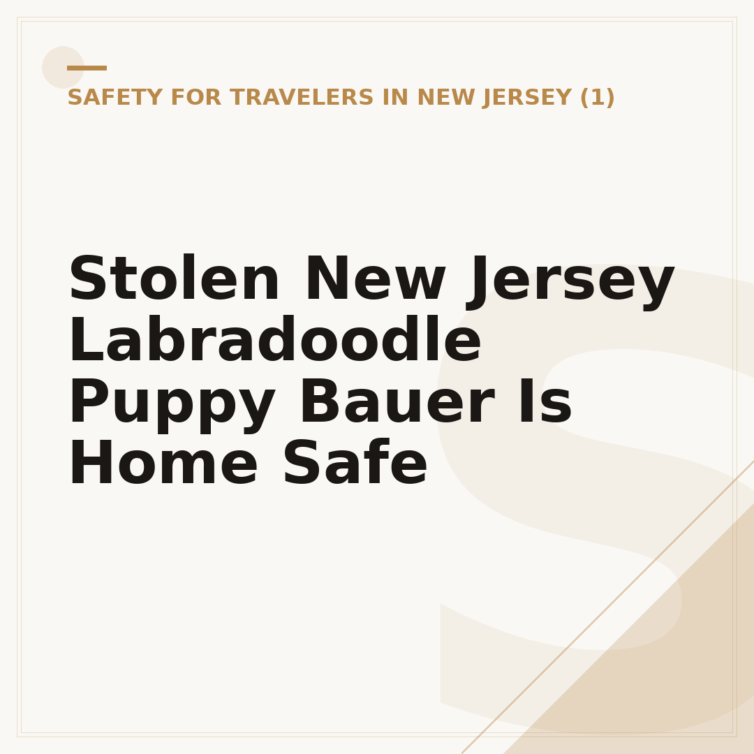 Stolen New Jersey Labradoodle Puppy Bauer Is Home Safe