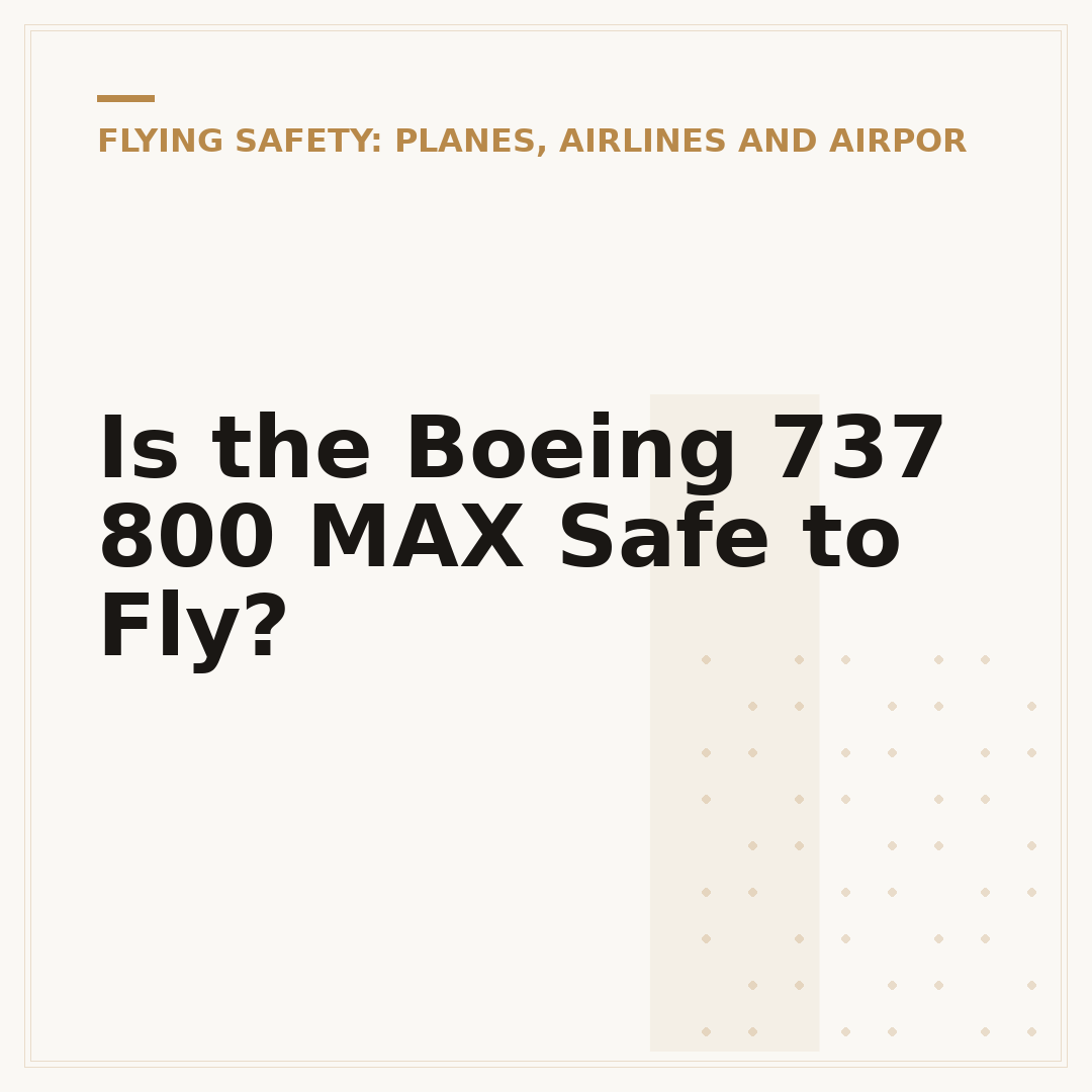 Is the Boeing 737 800 MAX Safe to Fly?