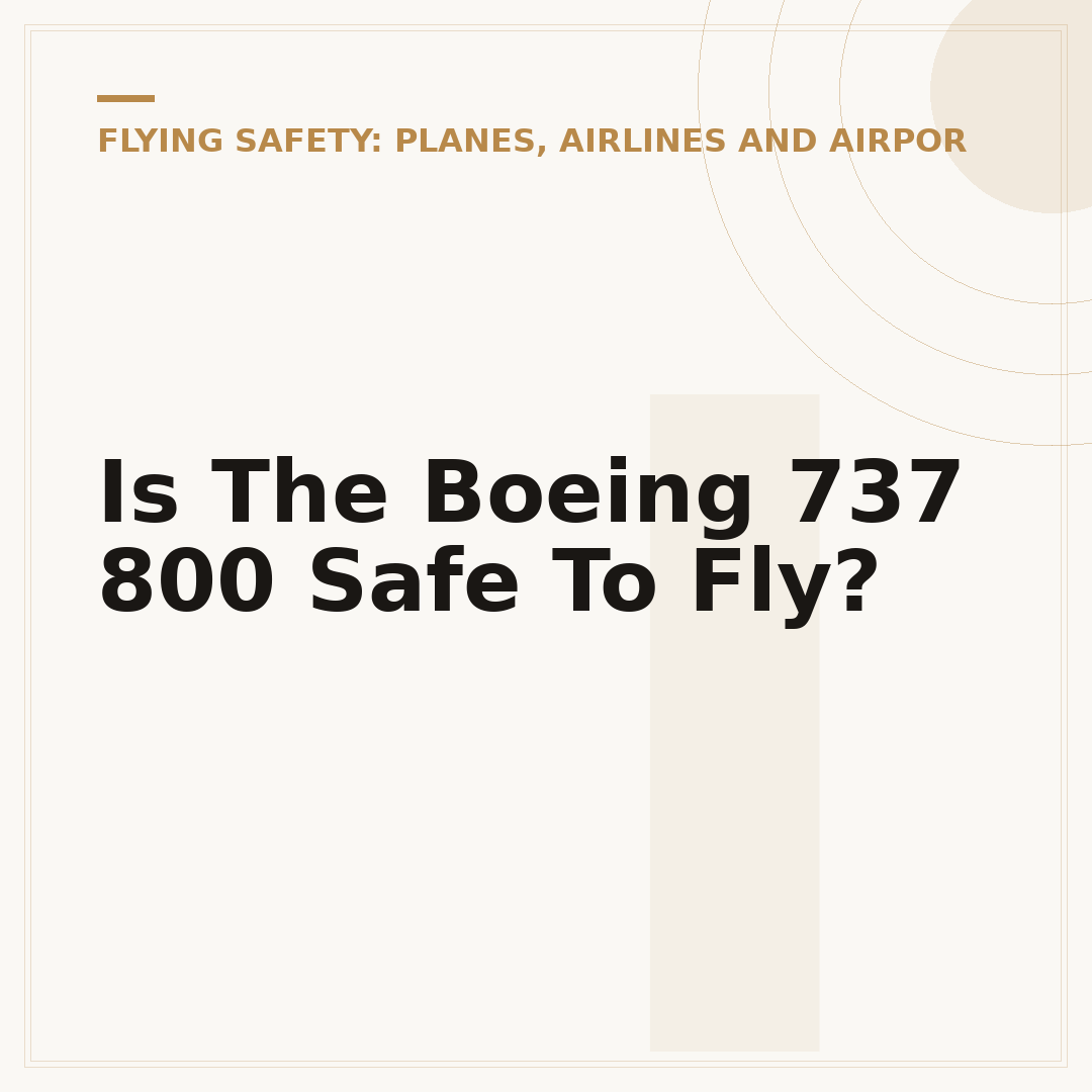 Is The Boeing 737 800 Safe To Fly?
