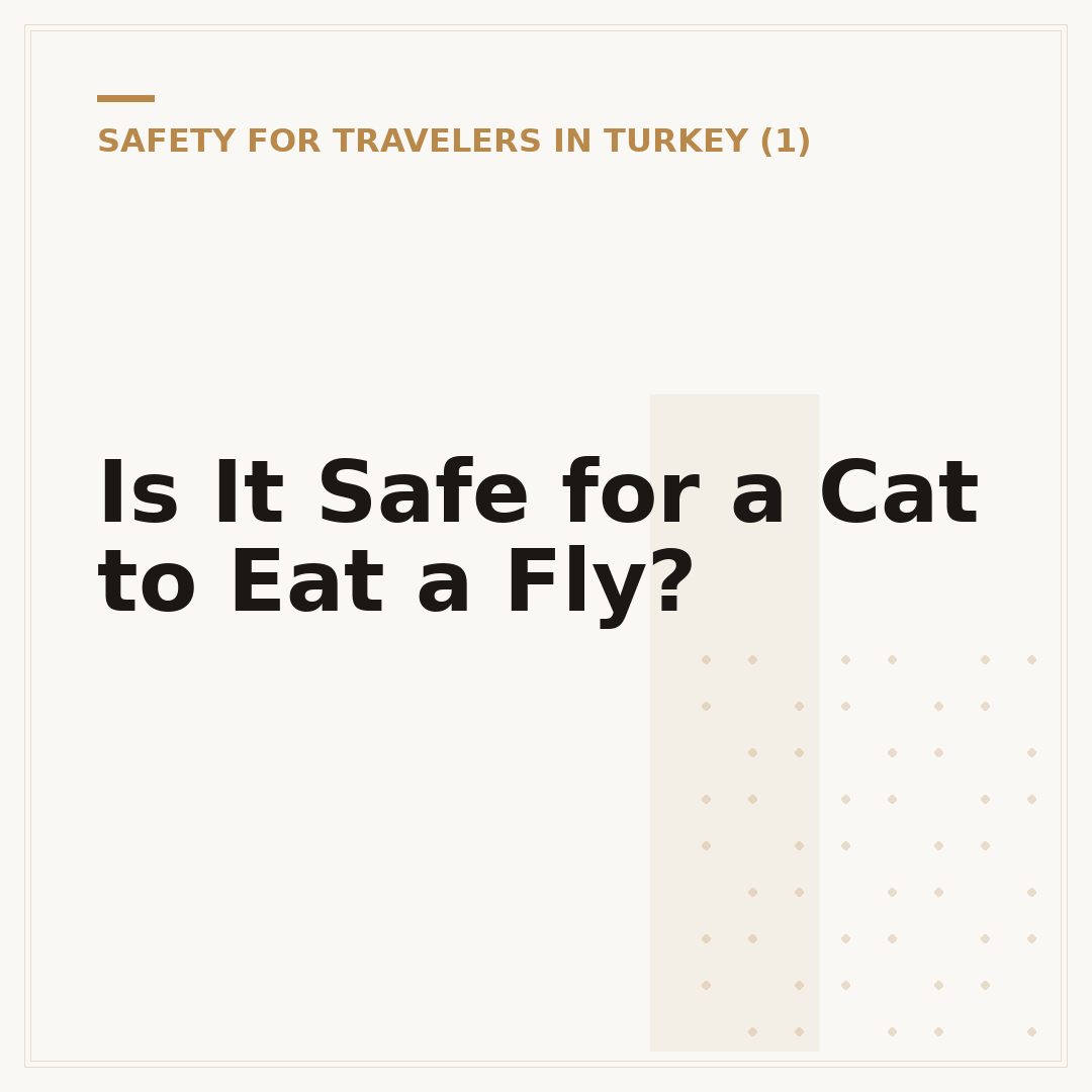 Is It Safe for a Cat to Eat a Fly?