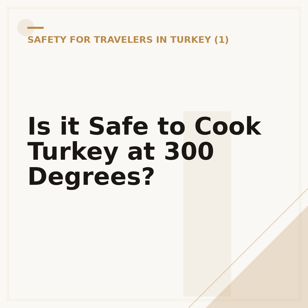 Is it Safe to Cook Turkey at 300 Degrees?
