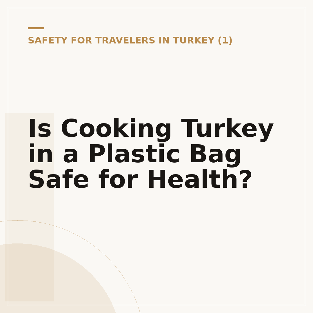 Is Cooking Turkey in a Plastic Bag Safe for Health?