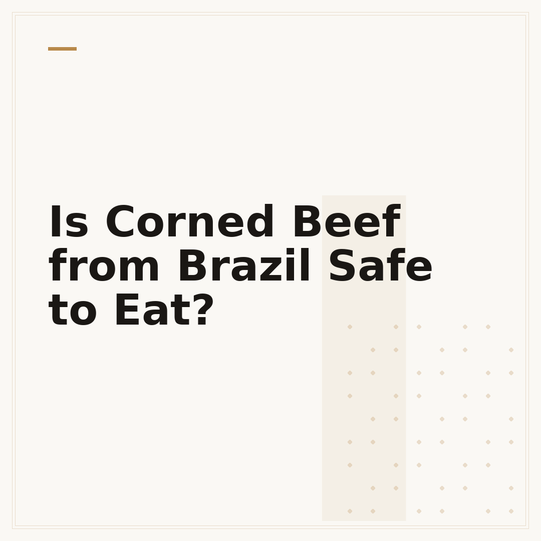 Is Corned Beef from Brazil Safe to Eat?