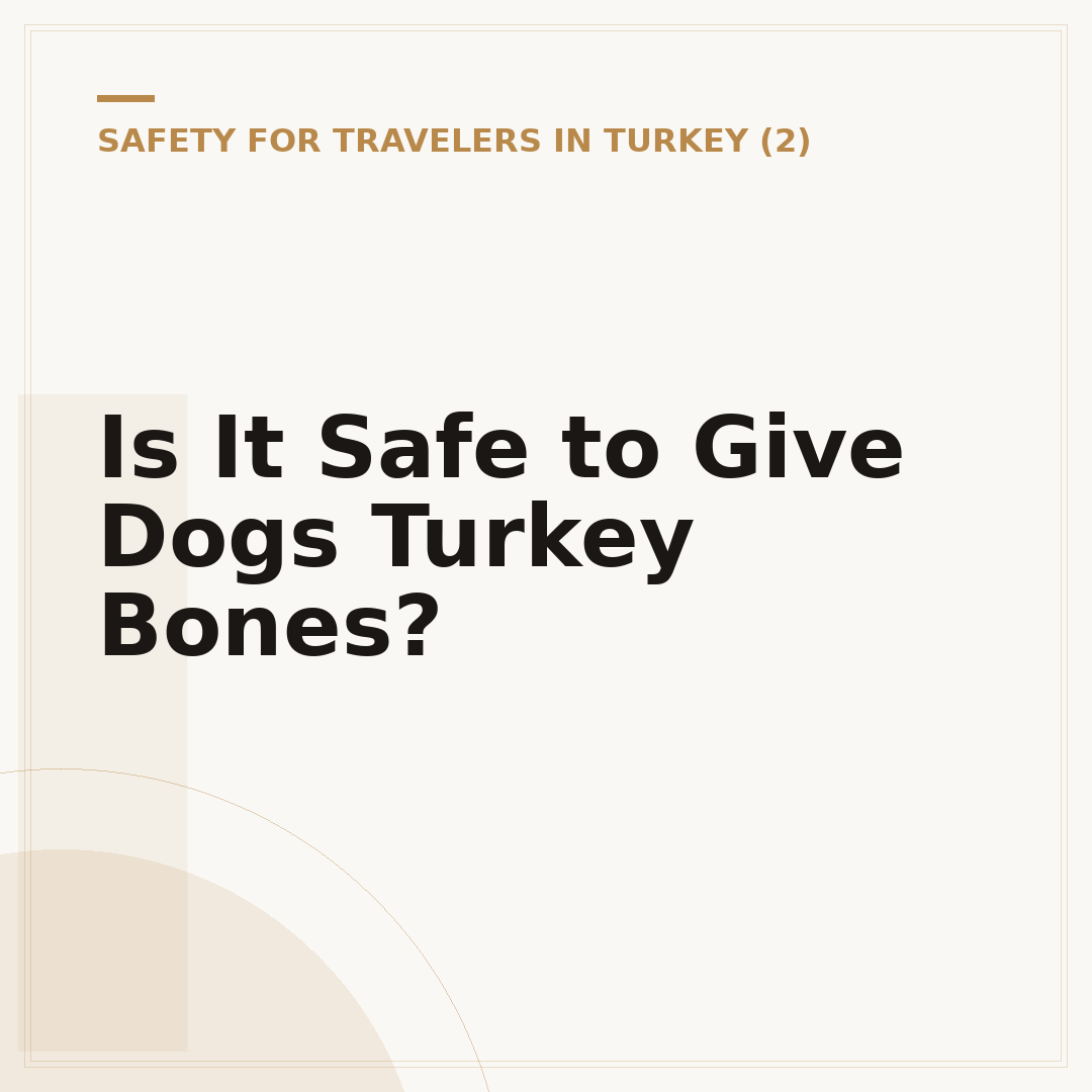 Is It Safe to Give Dogs Turkey Bones?