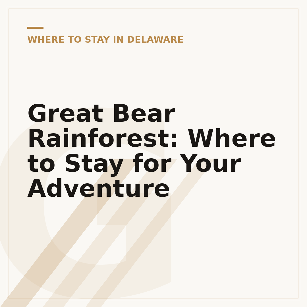 Great Bear Rainforest: Where to Stay for Your Adventure