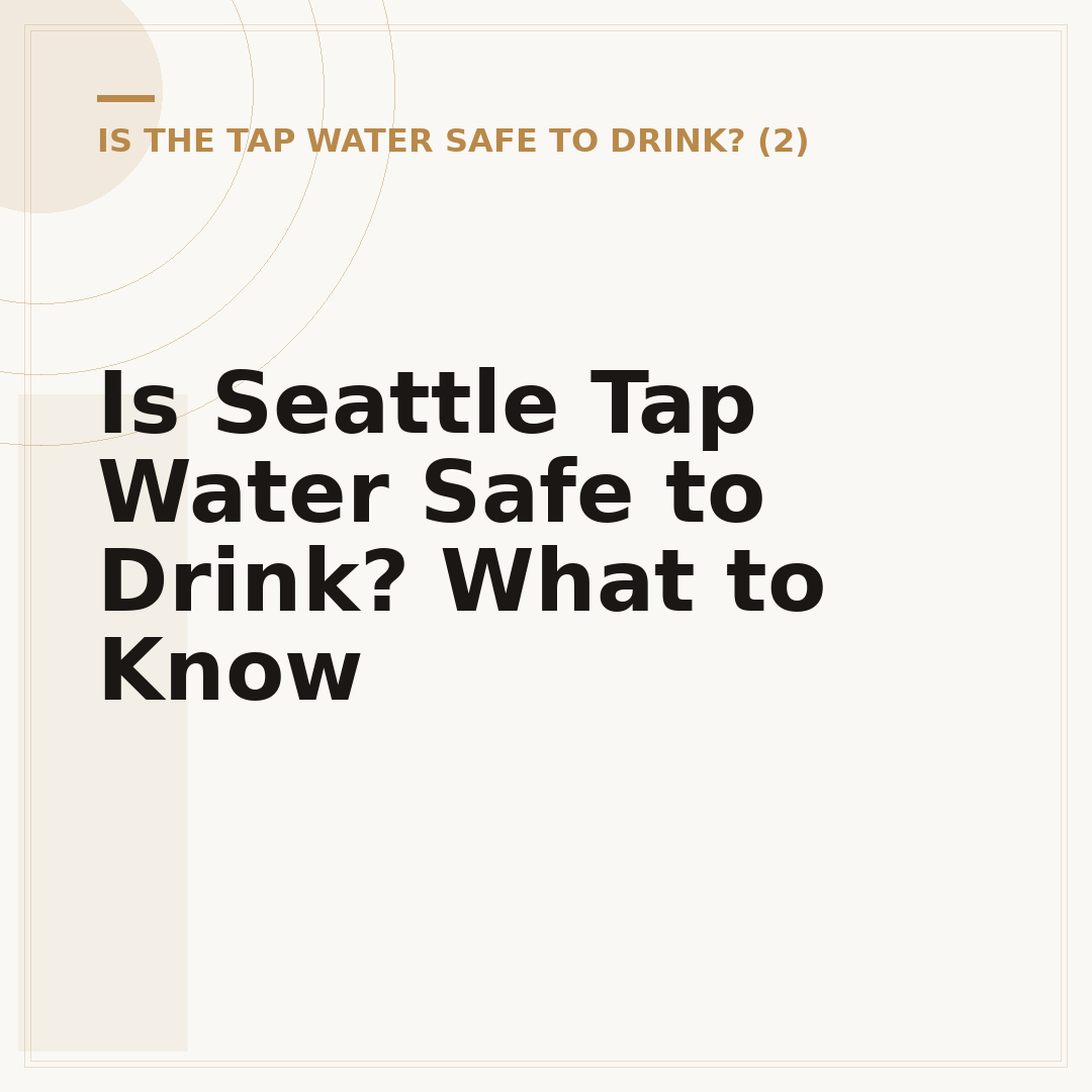 Is Seattle Tap Water Safe to Drink? What to Know