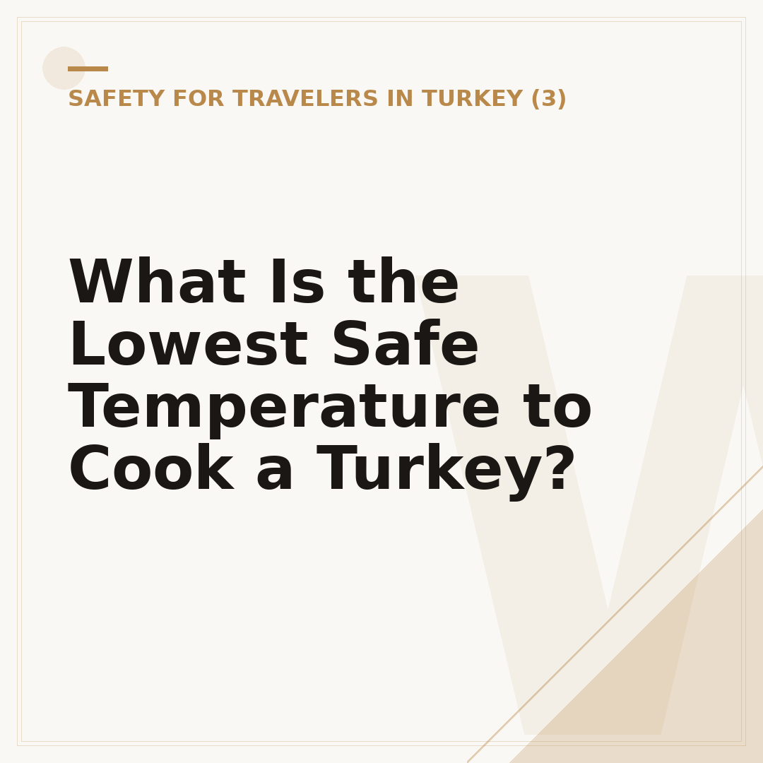 What Is the Lowest Safe Temperature to Cook a Turkey?