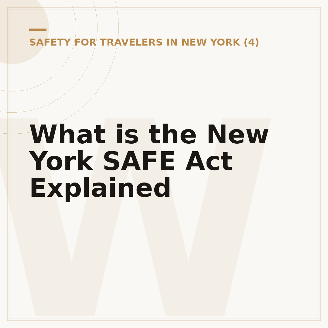 What is the New York SAFE Act Explained