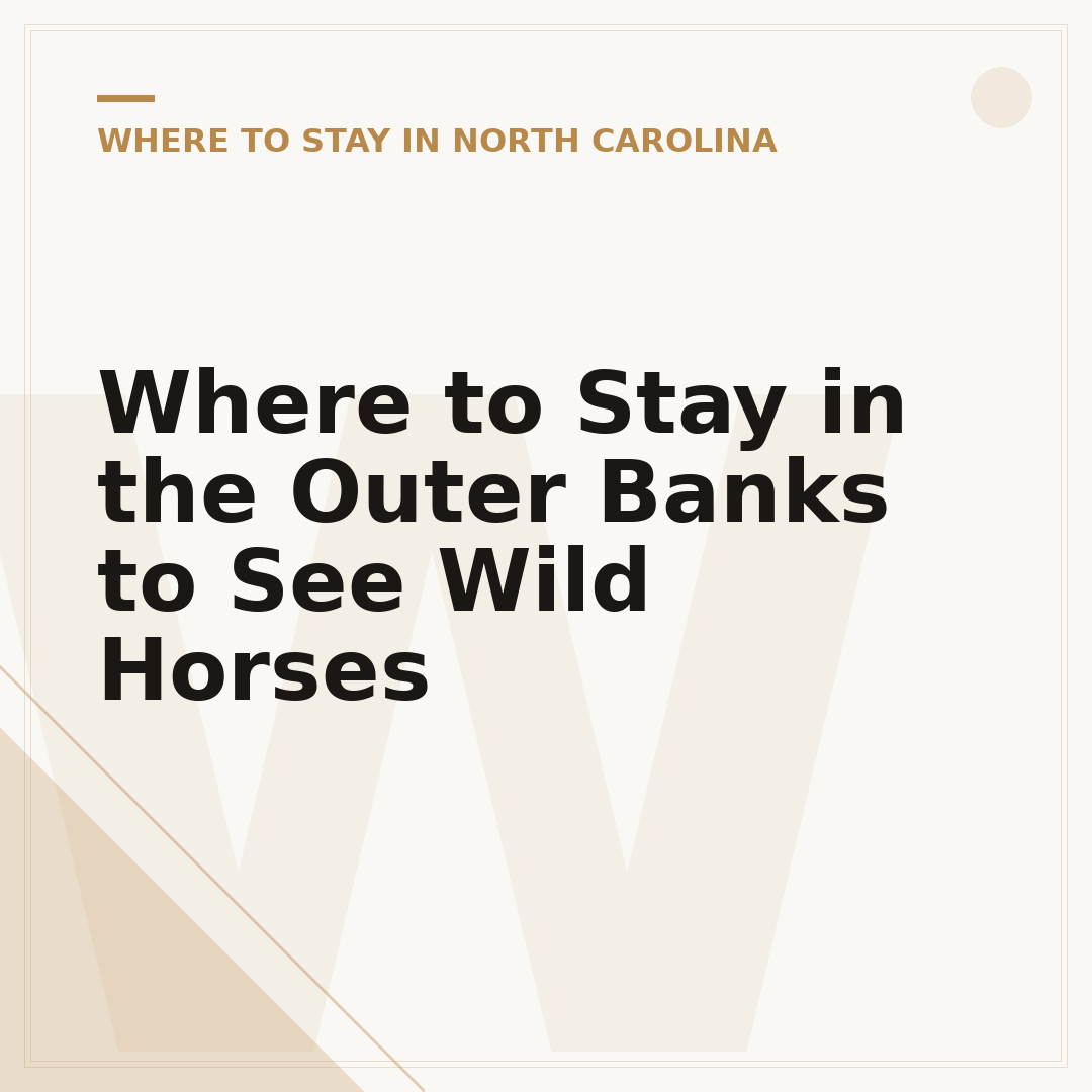 Where to Stay in the Outer Banks to See Wild Horses