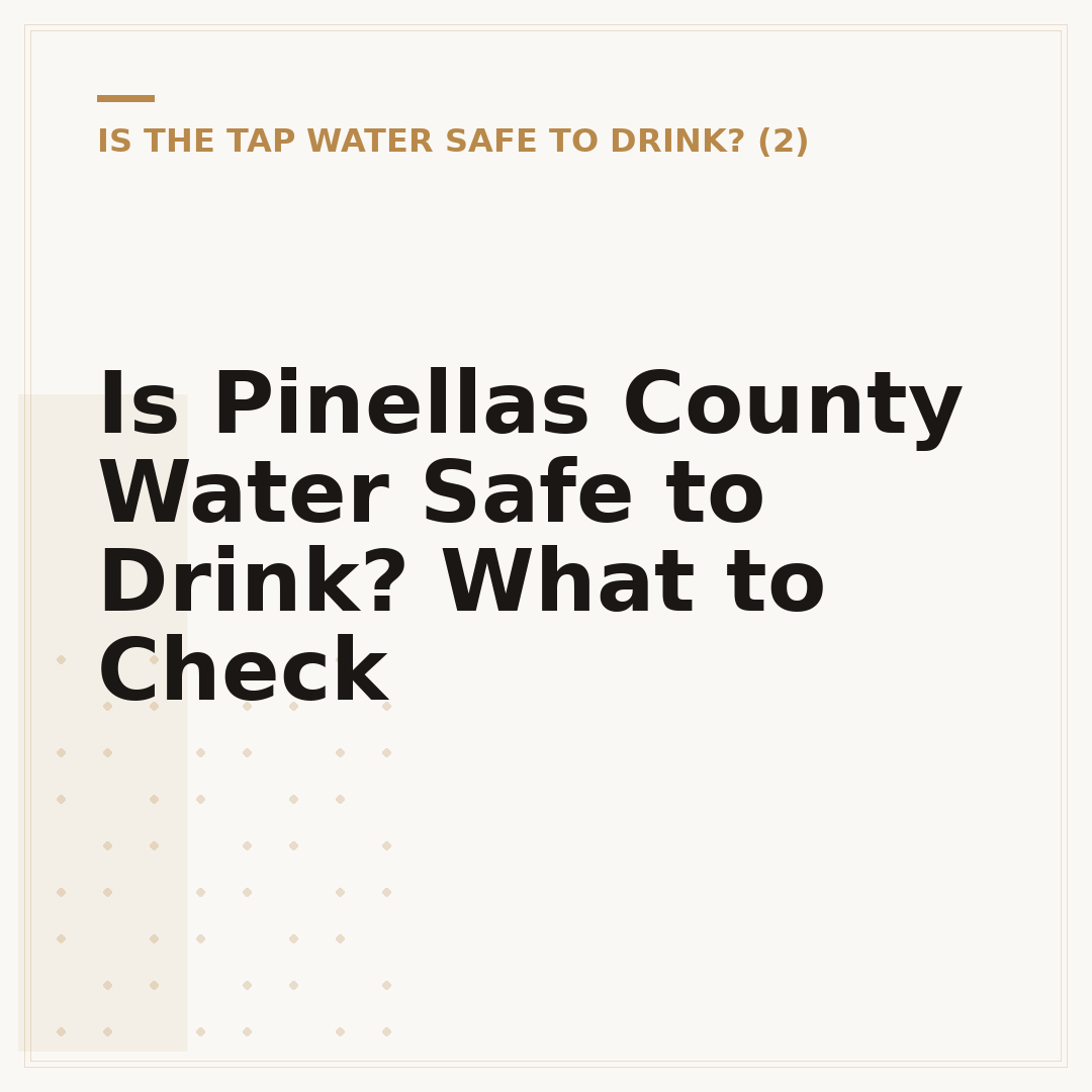 Is Pinellas County Water Safe to Drink? What to Check