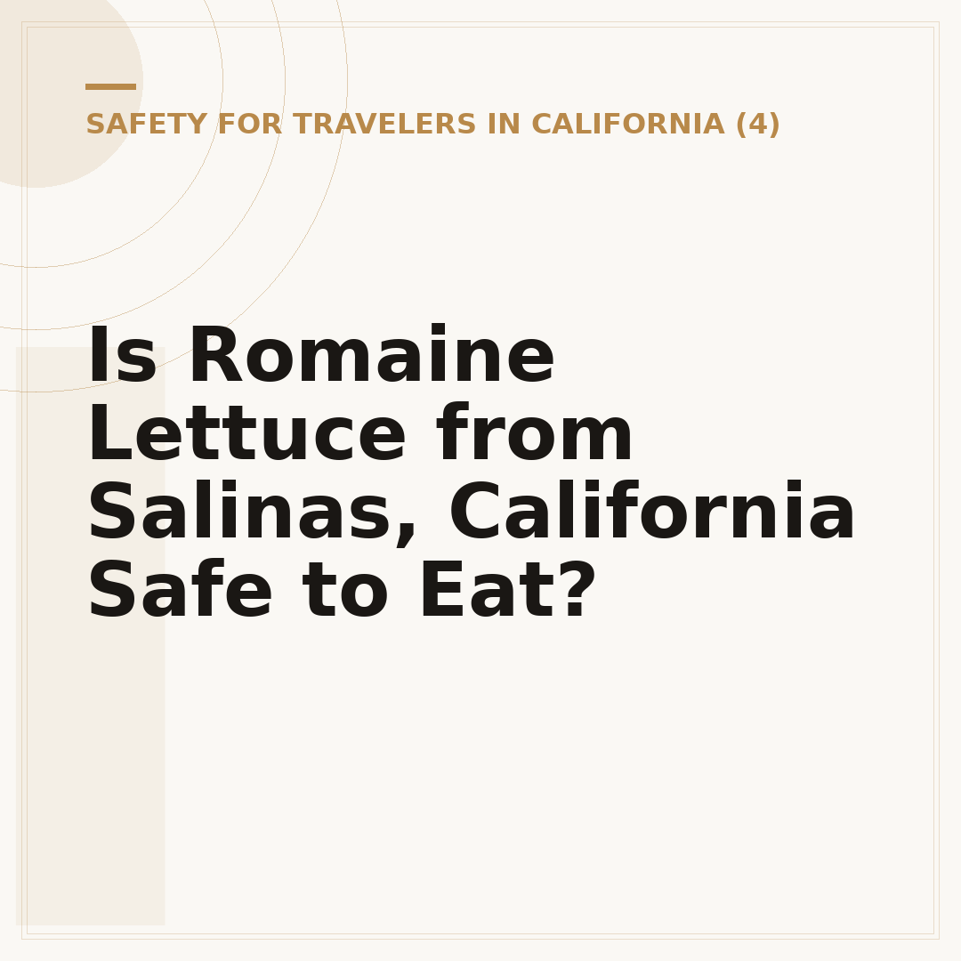 Is Romaine Lettuce from Salinas, California Safe to Eat?