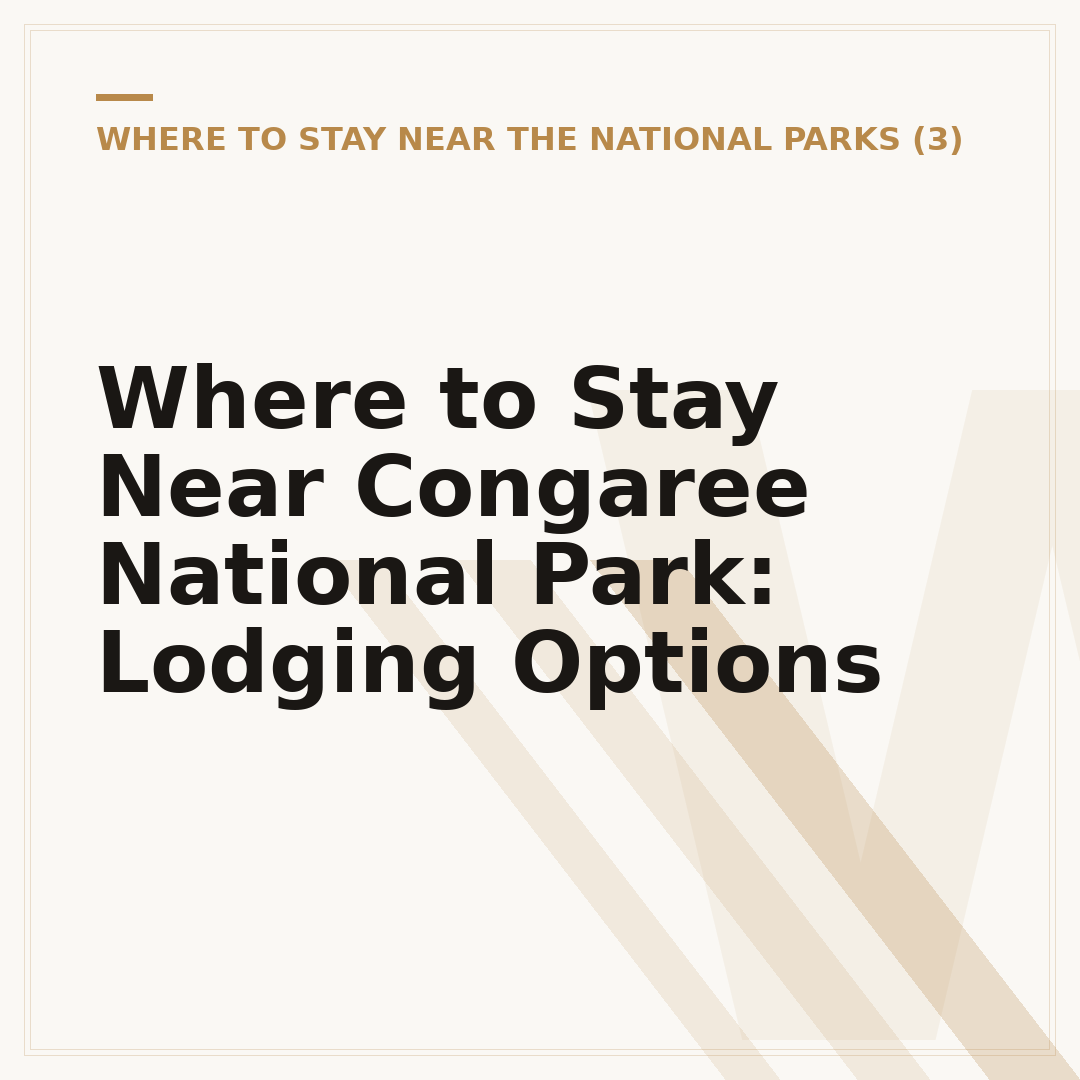 Where to Stay Near Congaree National Park: Lodging Options