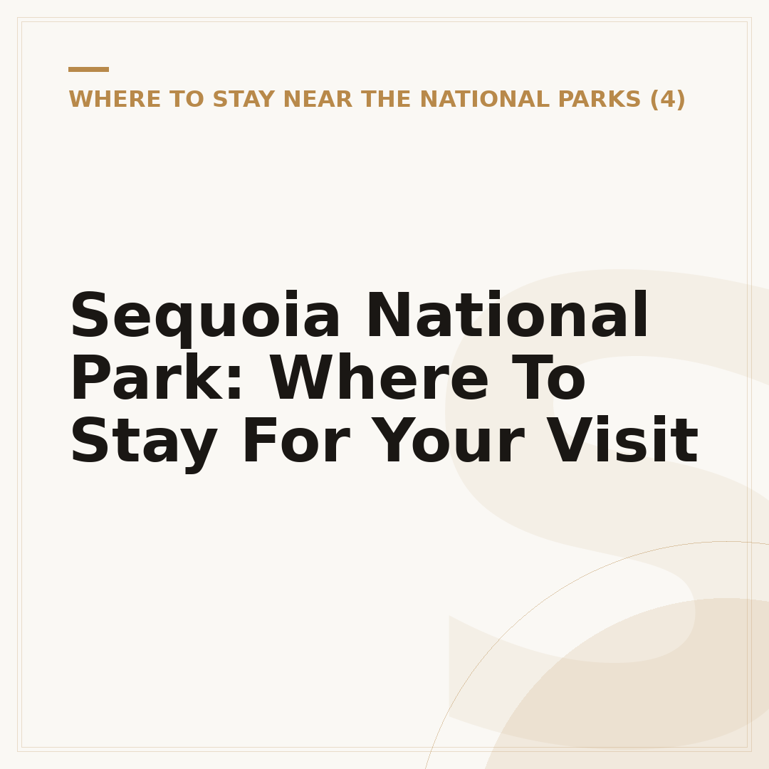 Sequoia National Park: Where To Stay For Your Visit