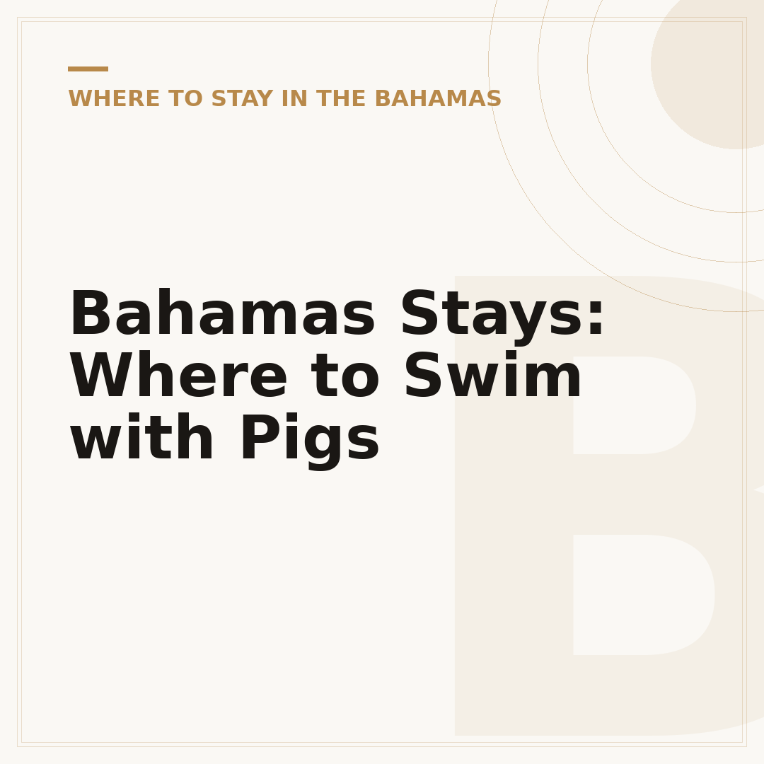 Bahamas Stays: Where to Swim with Pigs