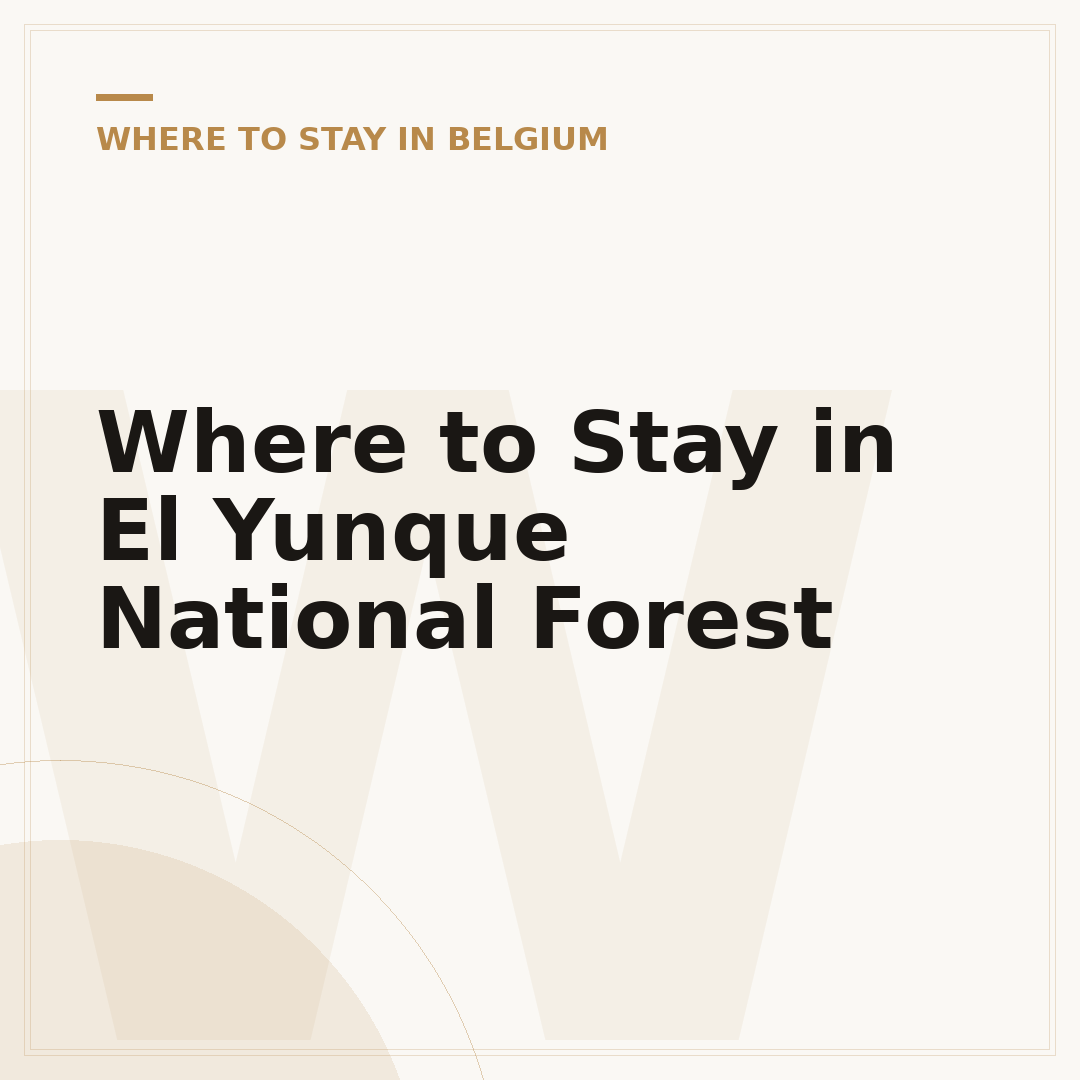 Where to Stay in El Yunque National Forest