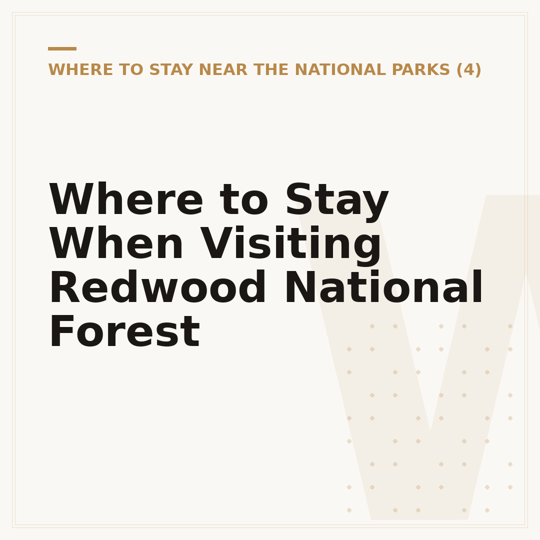 Where to Stay When Visiting Redwood National Forest